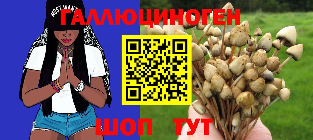 Галлюциногенные грибы мицелий  как найти   Владимир  Вход с VPN 